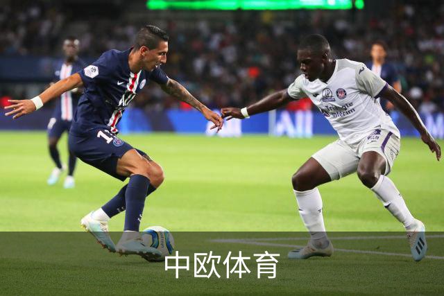 中欧体育公司简介图片